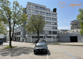 Wohnhighlight: 187 m² Loftwohnung mit 2 Einheiten, ca. 54 m² Kapitalreserve in Steyr