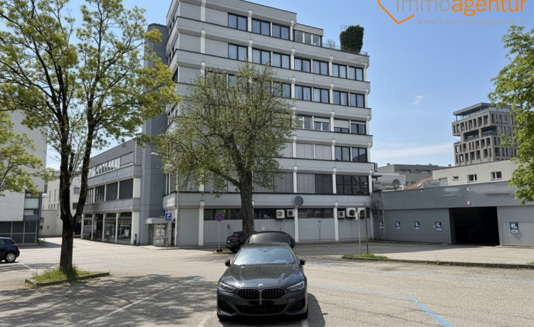 Wohnhighlight: 187 m² Loftwohnung mit 2 Einheiten, ca. 54 m² Kapitalreserve in Steyr